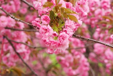 徐州丰县5线下个人借款平台一站式服务，轻松解决资金难题