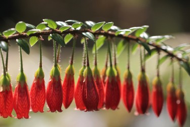 徐州丰县5零用贷短借：轻松解决临时资金需求