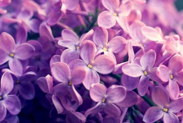 徐州丰县5企业急用钱贷款攻略：快速融资解燃眉之急